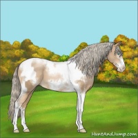 Horse Color:Chocolate Palomino Pearl Tobiano Frame  and Chocolate Palomino Pearl Tobiano Frame 