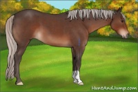 Horse Color:Silver Brown Roan