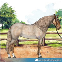 Horse Color:Chocolate Palomino Roan Dun