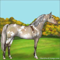Horse Color:White Spotted Silver Brown Dun 