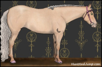 Horse Color:Silver Amber Champagne Roan 