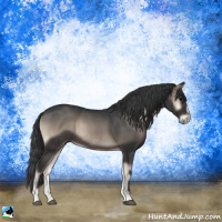 Horse Color:Blue Onyx Sabino Rabicano 