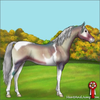 Horse Color:Watercolor Silver Brown Onyx Tobiano