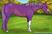 Horse Color:Watercolor Liver Chestnut 