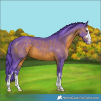 Horse Color:Watercolor Brown 