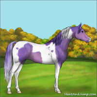 Horse Color:Watercolor Brown Tobiano 