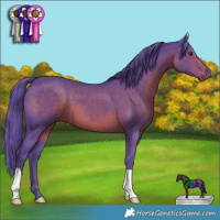 Horse Color:Watercolor Liver Chestnut 