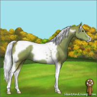 Horse Color:Watercolor Liver Chestnut Mushroom Tobiano 