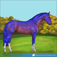 Horse Color:Watercolor Brown 