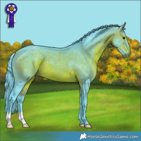 Horse Color:Watercolor Bay 