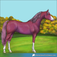Horse Color:Watercolor Liver Chestnut 