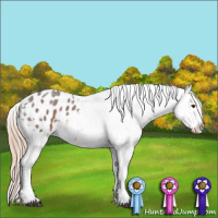 Horse Color:Liver Red Roan Sabino Appaloosa