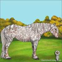 Horse Color:Liver Red Roan Sabino Appaloosa 