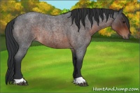 Horse Color:Brown Roan Rabicano 