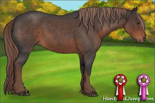 Horse Color:Liver Red Roan Rabicano 