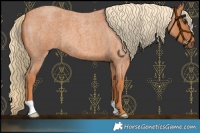 Horse Color:Red Roan 