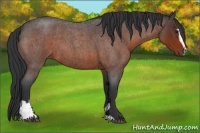 Horse Color:Brown Roan Sabino 