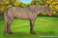 Horse Color:Chocolate Palomino Roan 
