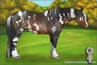 Horse Color:White Spotted Brown Sabino 