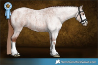Horse Color:Red Roan Sabino 
