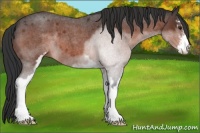 Horse Color:Brown Roan Sabino 