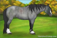 Horse Color:Blue Roan Sabino Varnish 