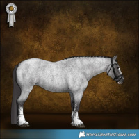 Horse Color:Smoky Blue Roan Sabino