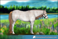 Horse Color:Plaid  Liver Red Dun Roan Sabino 