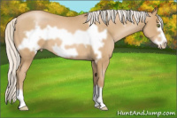 Horse Color:Silver Blue Roan Pearl Frame