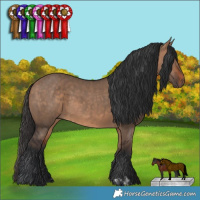 Horse Color:Bay Dun  and Bay Dun 