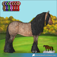 Horse Color:Bay Dun and Bay Dun