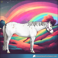 Horse Color:White Spotted Bay Appaloosa Rabicano 