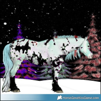 Horse Color:Watercolor White Spotted Liver Red Dun Onyx Sabino Appaloosa 