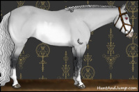 Horse Color:Silver Brown Chinchilla Sabino