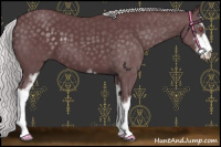Horse Color:Chocolate Silver Black Chinchilla Sabino 