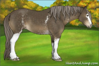 Horse Color:White Spotted Chocolate Palomino Mushroom 