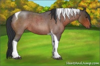 Horse Color:Brown Roan Tobiano 