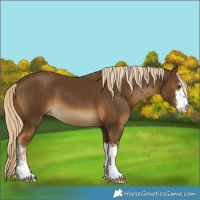Horse Color:White Spotted Chocolate Palomino Mushroom 
