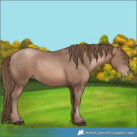 Horse Color:Brown Pearl Mushroom