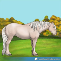 Horse Color:Gold Champagne Pearl Mushroom 