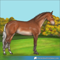 Horse Color:Silver Brown 