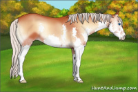 Horse Color:Silver Bay Onyx Splash 