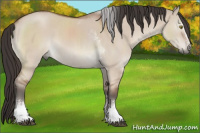 Horse Color:White Spotted Brown Dun Mushroom Sabino 