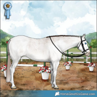 Horse Color:Liver Red Dun Roan Sabino Splash Rabicano 