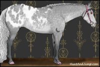 Horse Color:Silver Grullo Chinchilla Blanket 