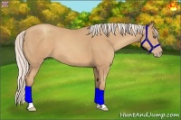 Horse Color:Silver Classic Champagne
