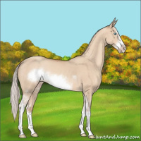 Horse Color:White Spotted Silver Classic Champagne Dun Splash Frame