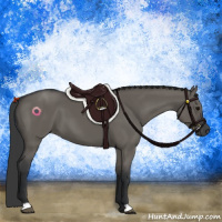 Horse Color:Grullo 