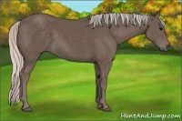 Horse Color:Silver Black 