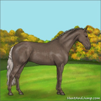 Horse Color:Silver Black 